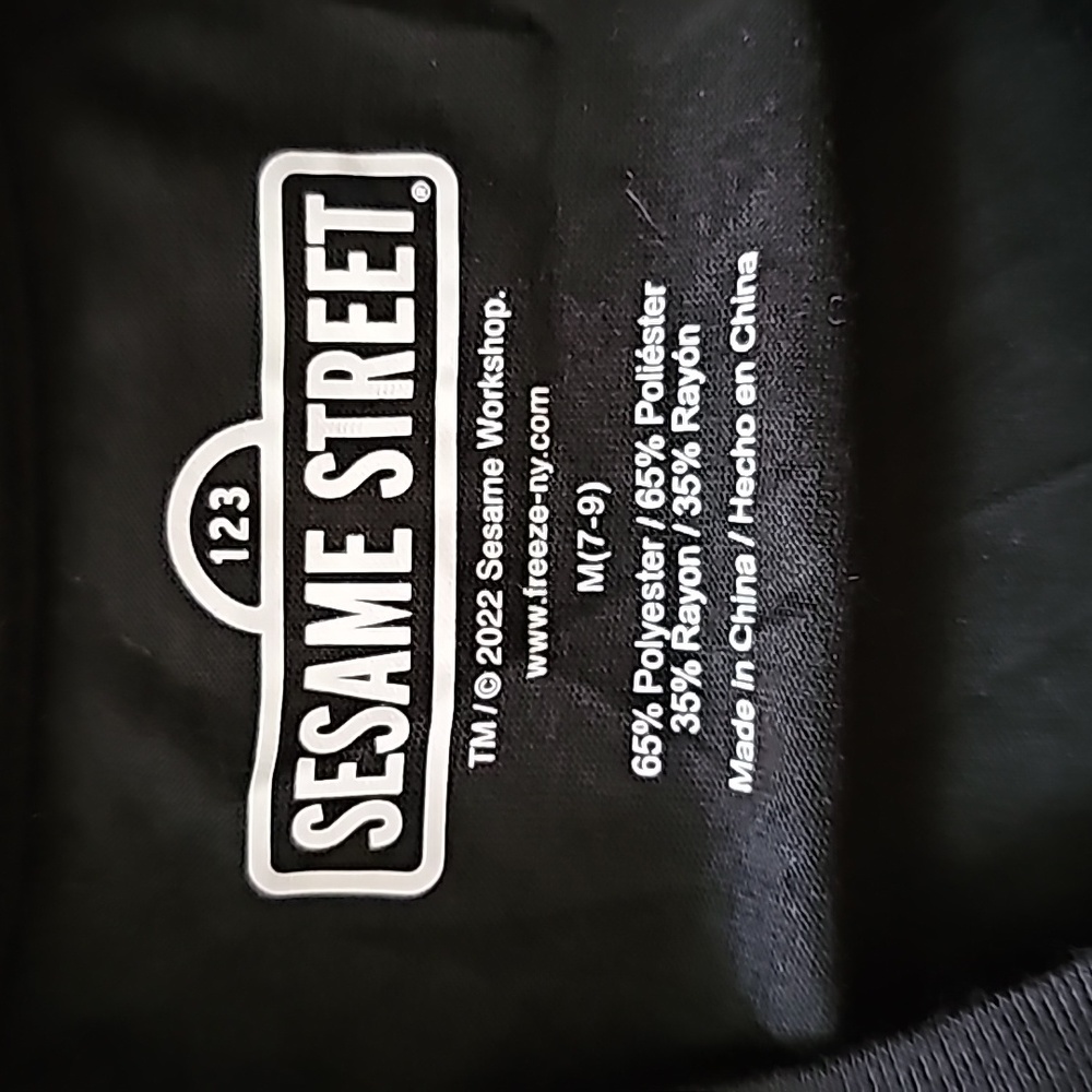 Sesame Street Tee Shirt Size M (7-8) - Picture 5 of 5